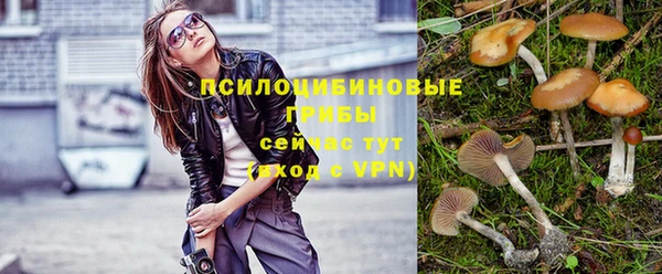 тгк Нефтегорск