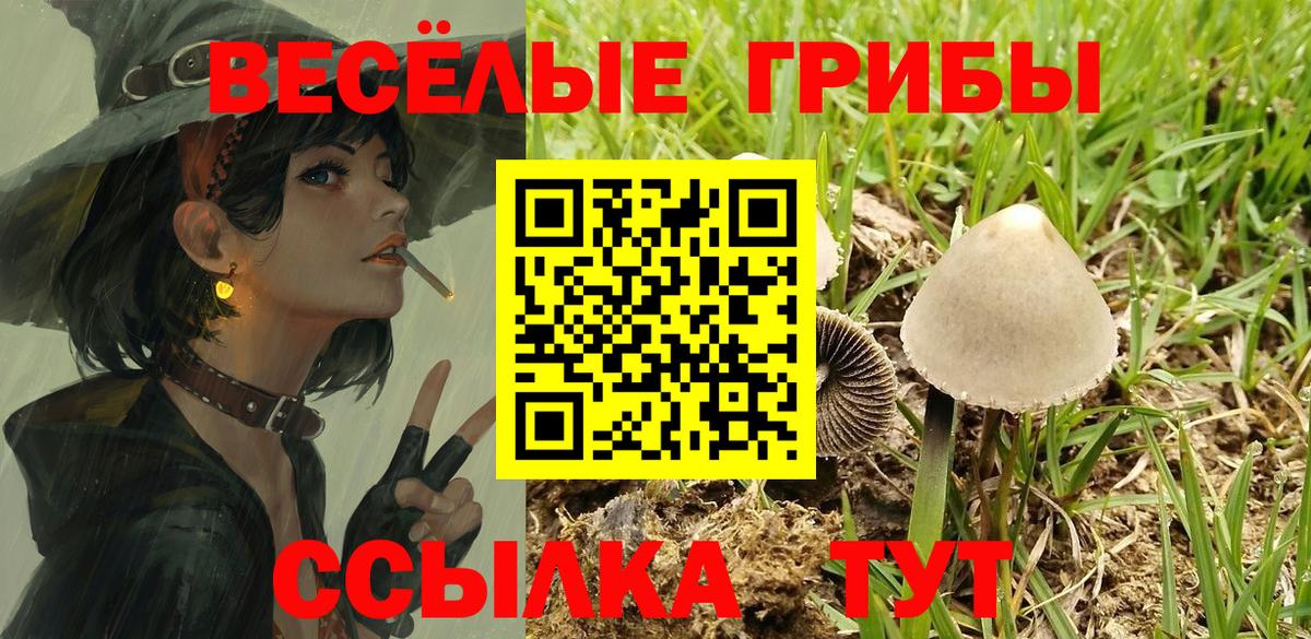 Псилоцибиновые грибы GOLDEN TEACHER  Вход с VPN  Павлово 